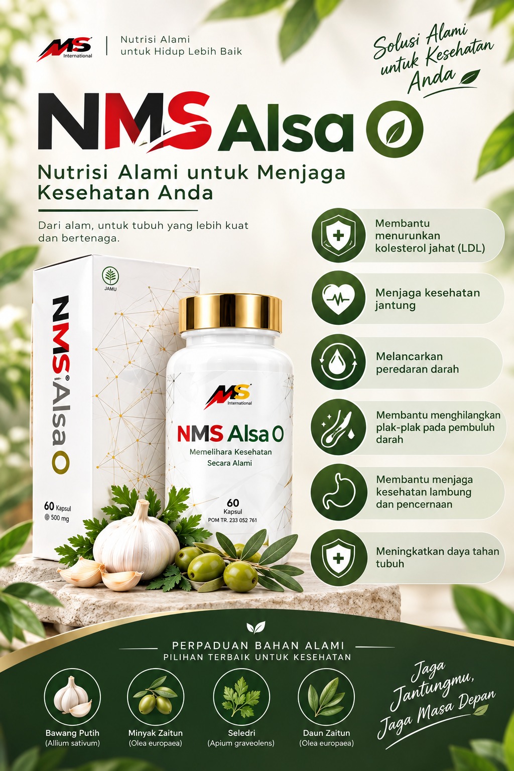 Tampilan NMS Alsa O 2